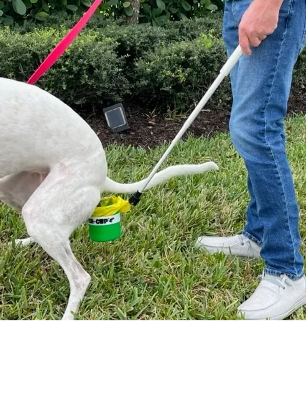 Catch-Cup in use outdoors
